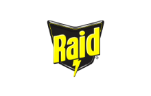 Raid